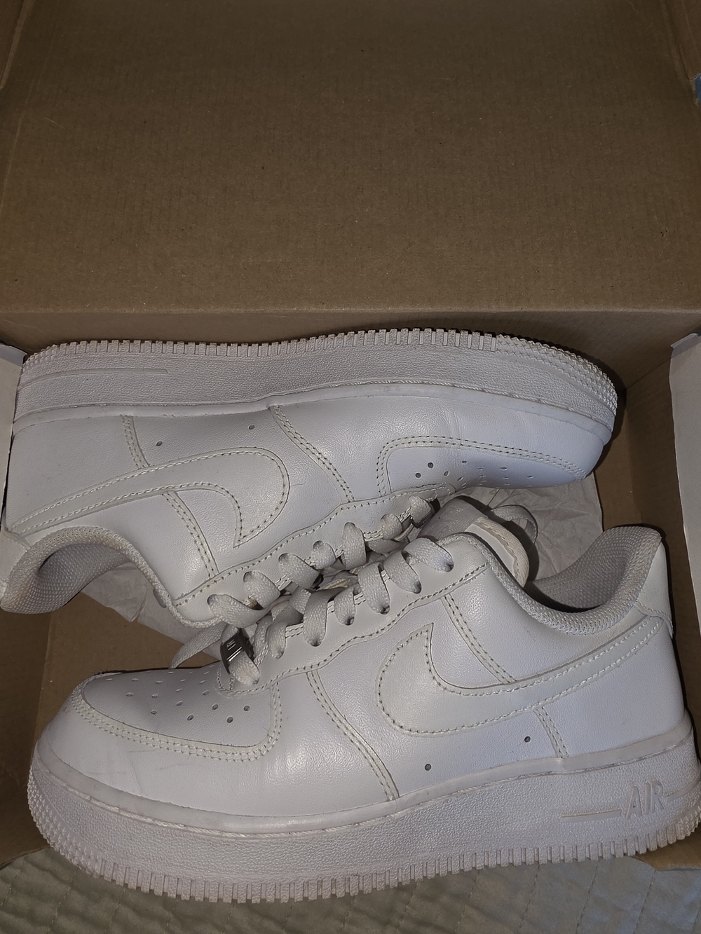 Nike All-White Low Top Sneakers